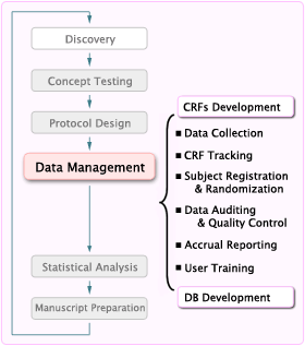 Scope of Data Management