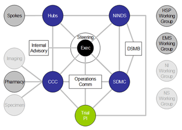 NETT structure